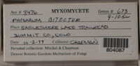 Image Associated With the Occurence